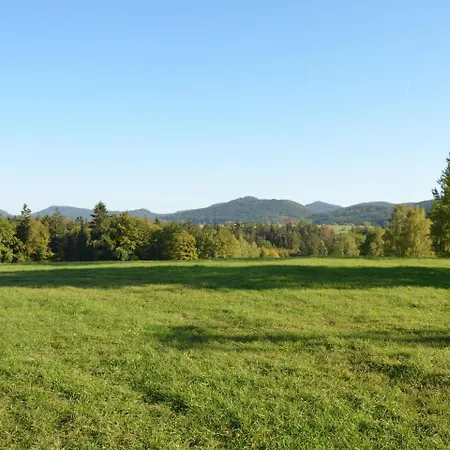 Nine * Jetřichovice